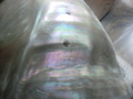 CIMG5055.JPG