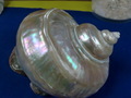 CIMG9181.JPG