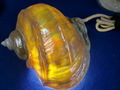 CIMG9207.JPG