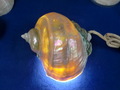 CIMG9215.JPG