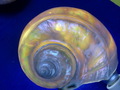 CIMG9216.JPG
