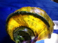 CIMG9848.JPG
