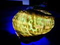 CIMG9854.JPG