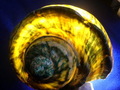 CIMG9855.JPG