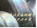 yakoukaikagayakihoukou2.JPG